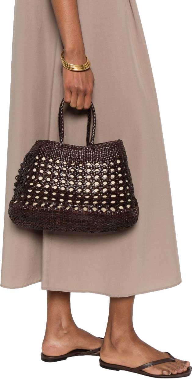 Dragon Diffusion Bags Brown Bruin