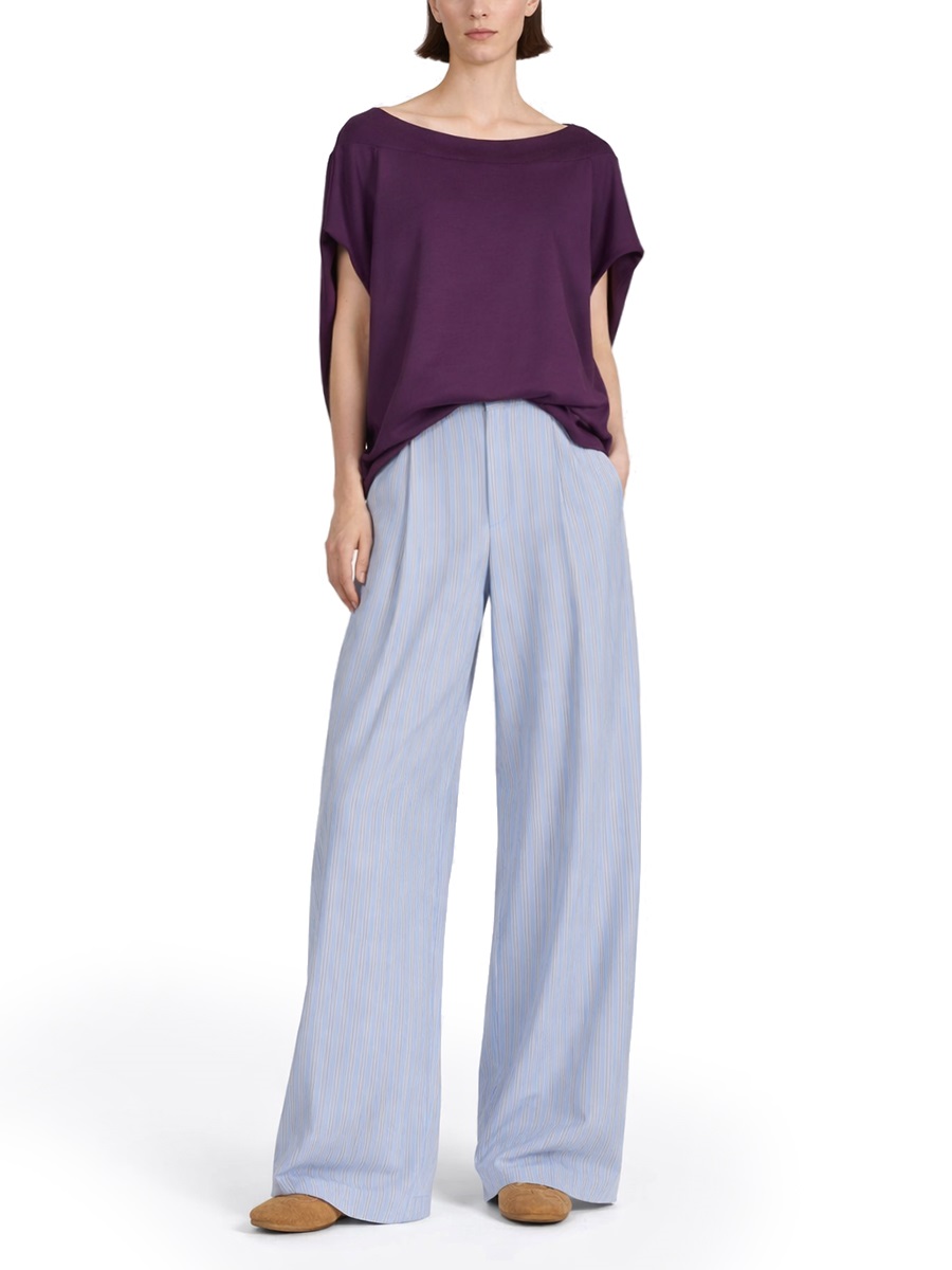 Dries van Noten Light Blue Vertical Stripes Cupro Straight-Leg Pants Grijs