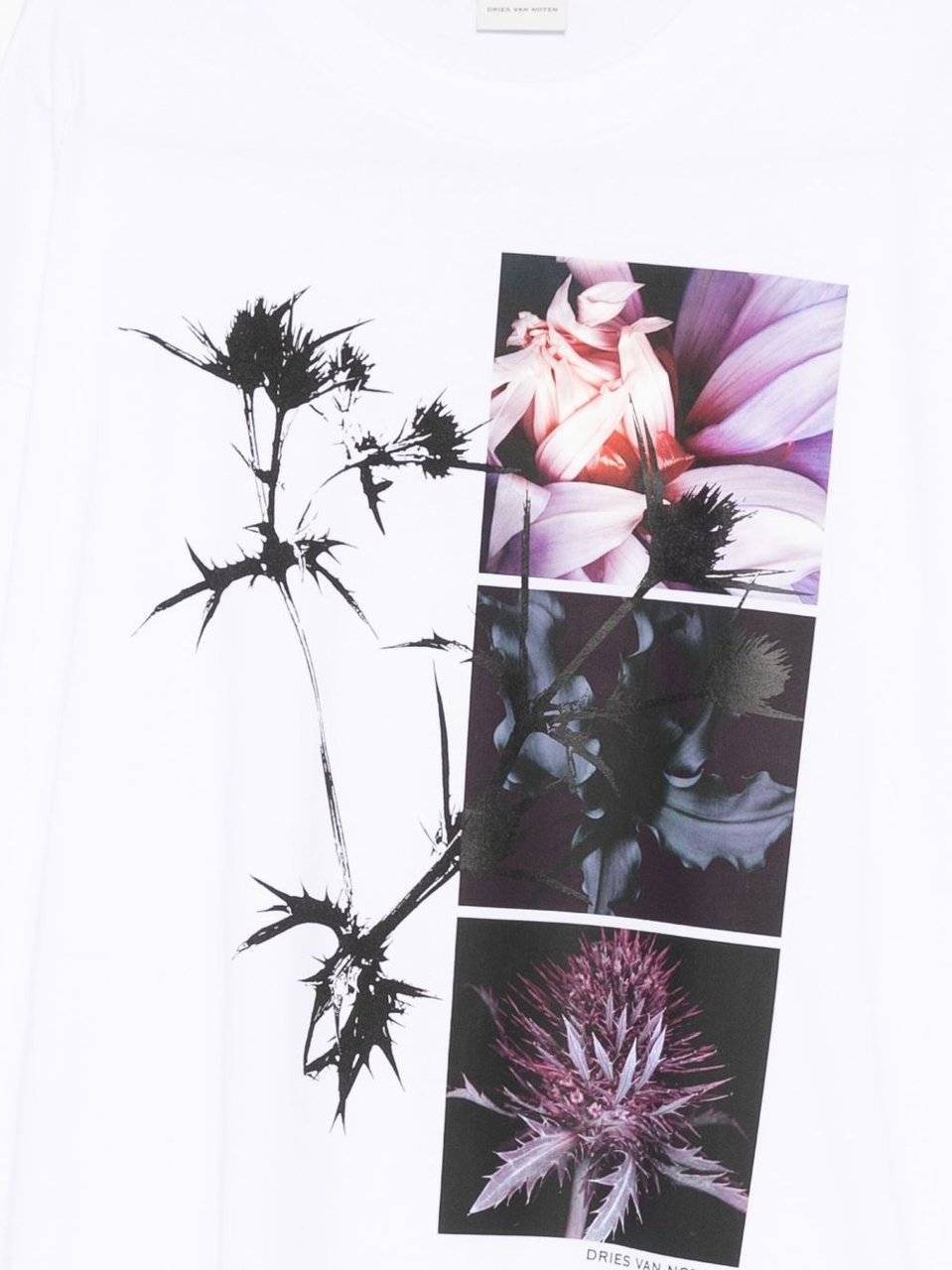 Dries van Noten Hegland Botanical Printed T-Shirt Wit