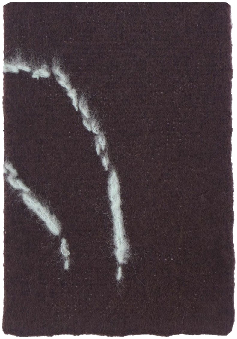 Dries van Noten Scarfs Dark Brown Bruin