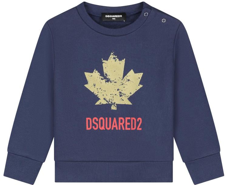 Dsquared2 Sweaters Blauw