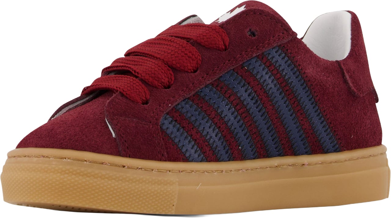 Dsquared2 Unisex Sneakers In Bordeaux Rood