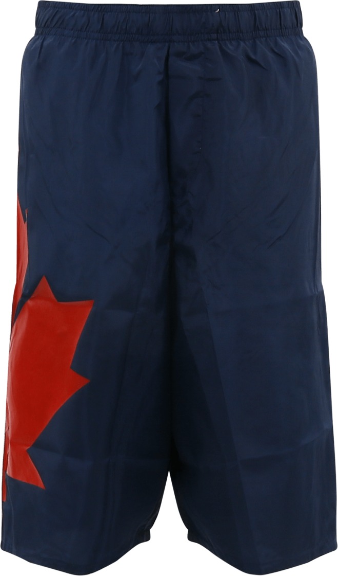 Dsquared2 Kids D2M60M Sw Boxer Blauw