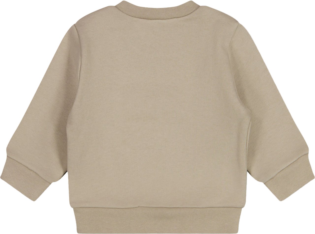 Dsquared2 Baby Jongens Trui In Beige Beige