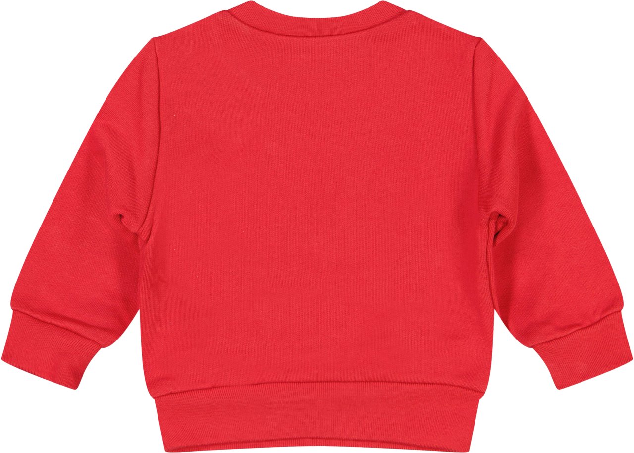 Dsquared2 Dsquared2 Baby Jongens Trui In Rood Rood
