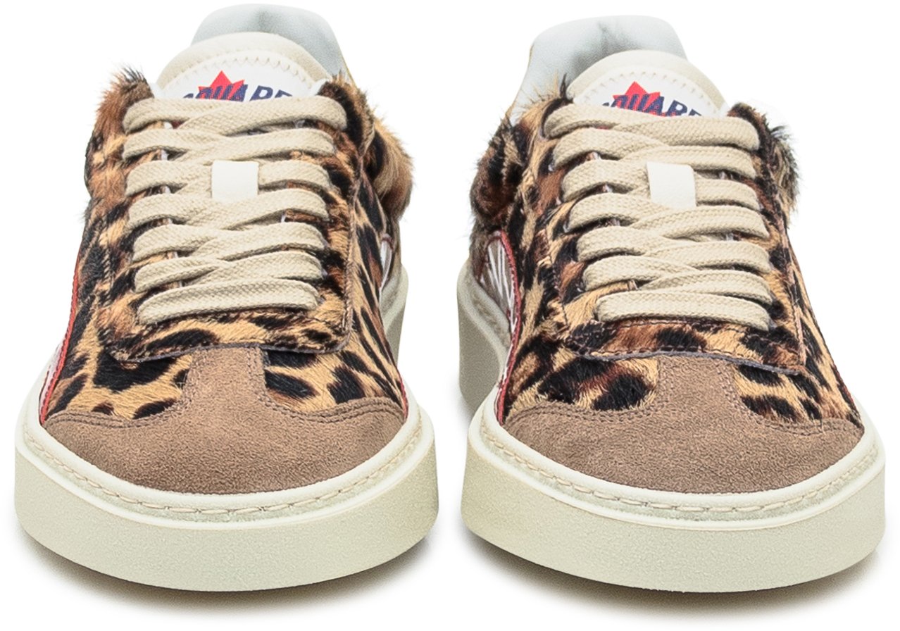 Dsquared2 Sneaker Bruin