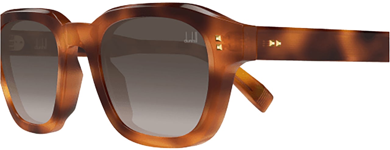 Dunhill Dunhill DU0098S Blauw