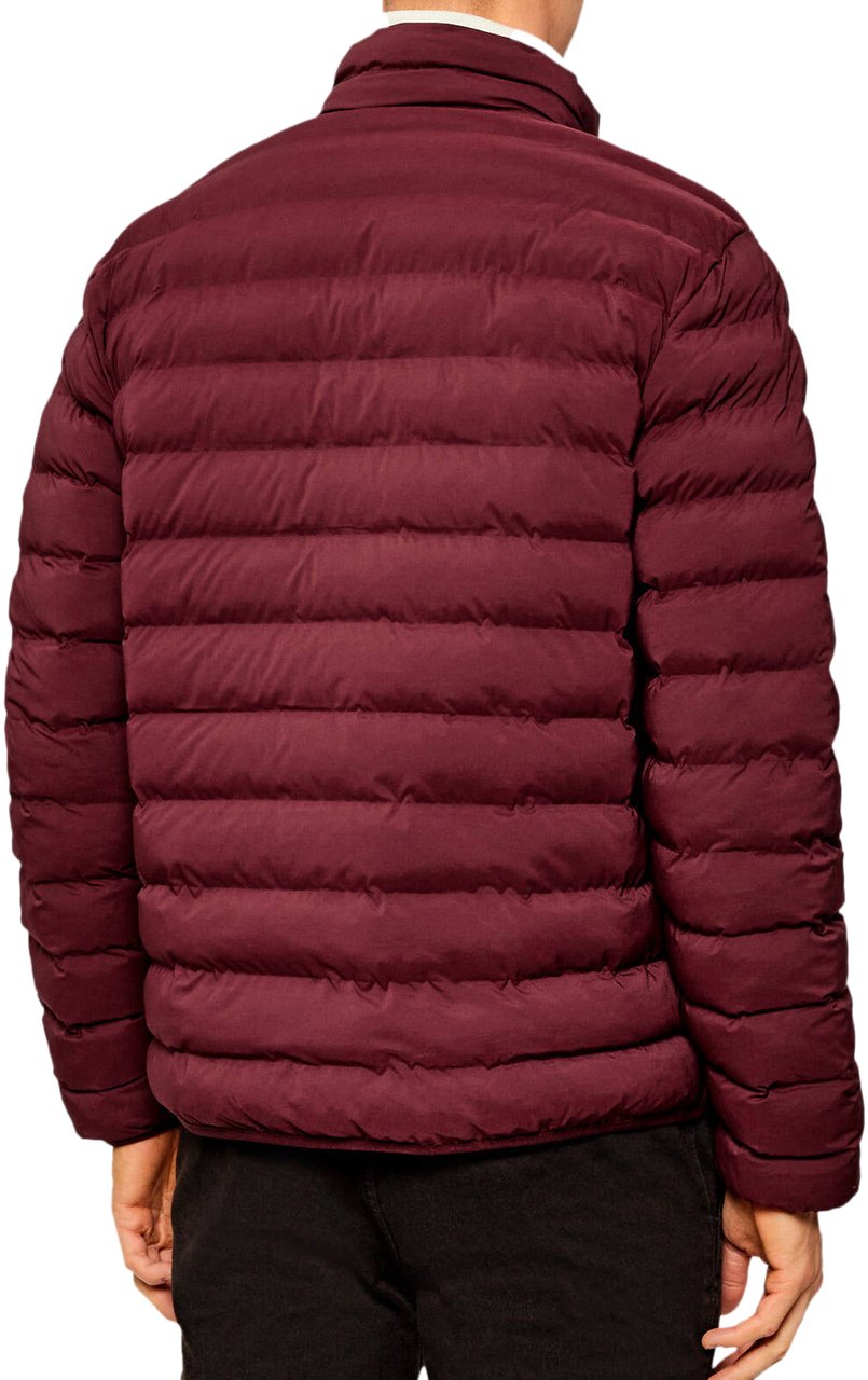 EA7 Coats Bordeaux Rood