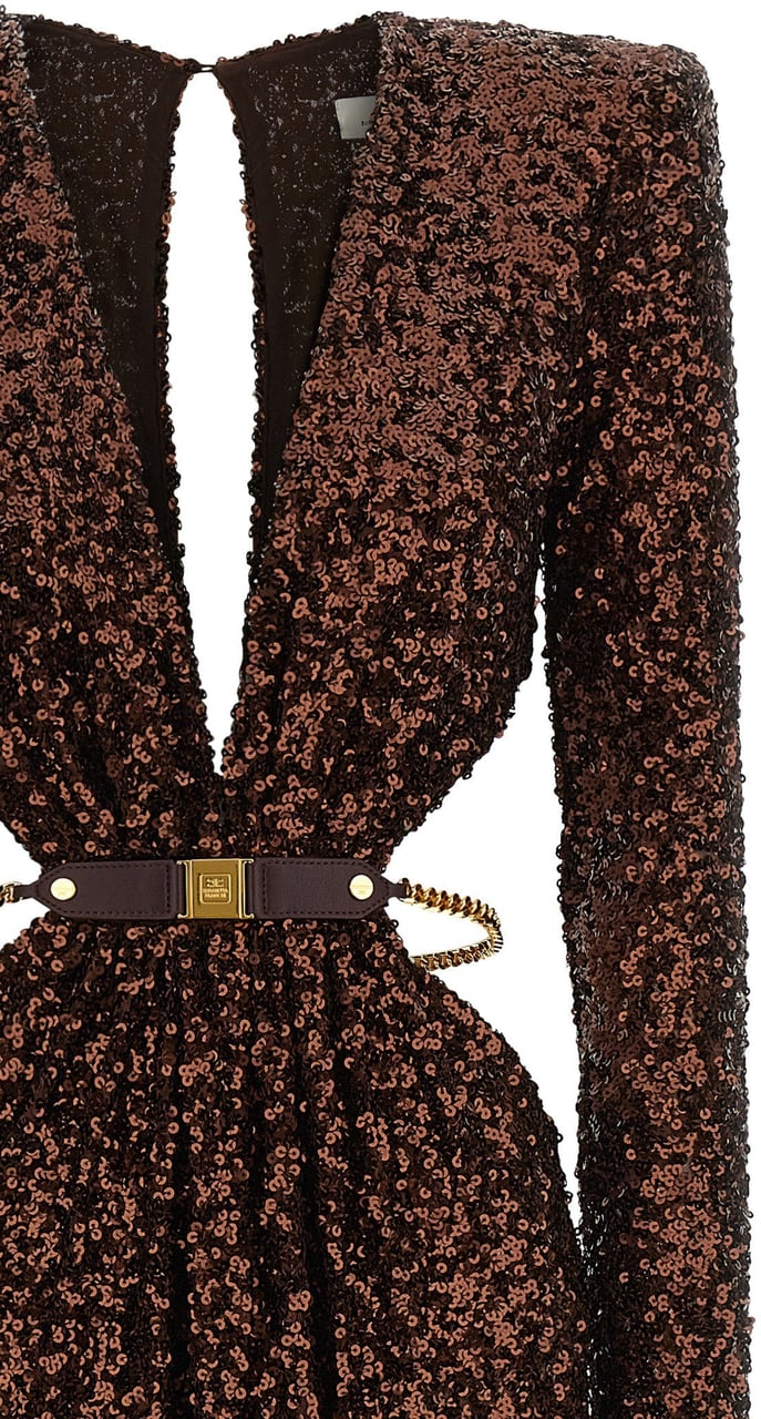 Elisabetta Franchi Brown Polyester Long Dress Bruin