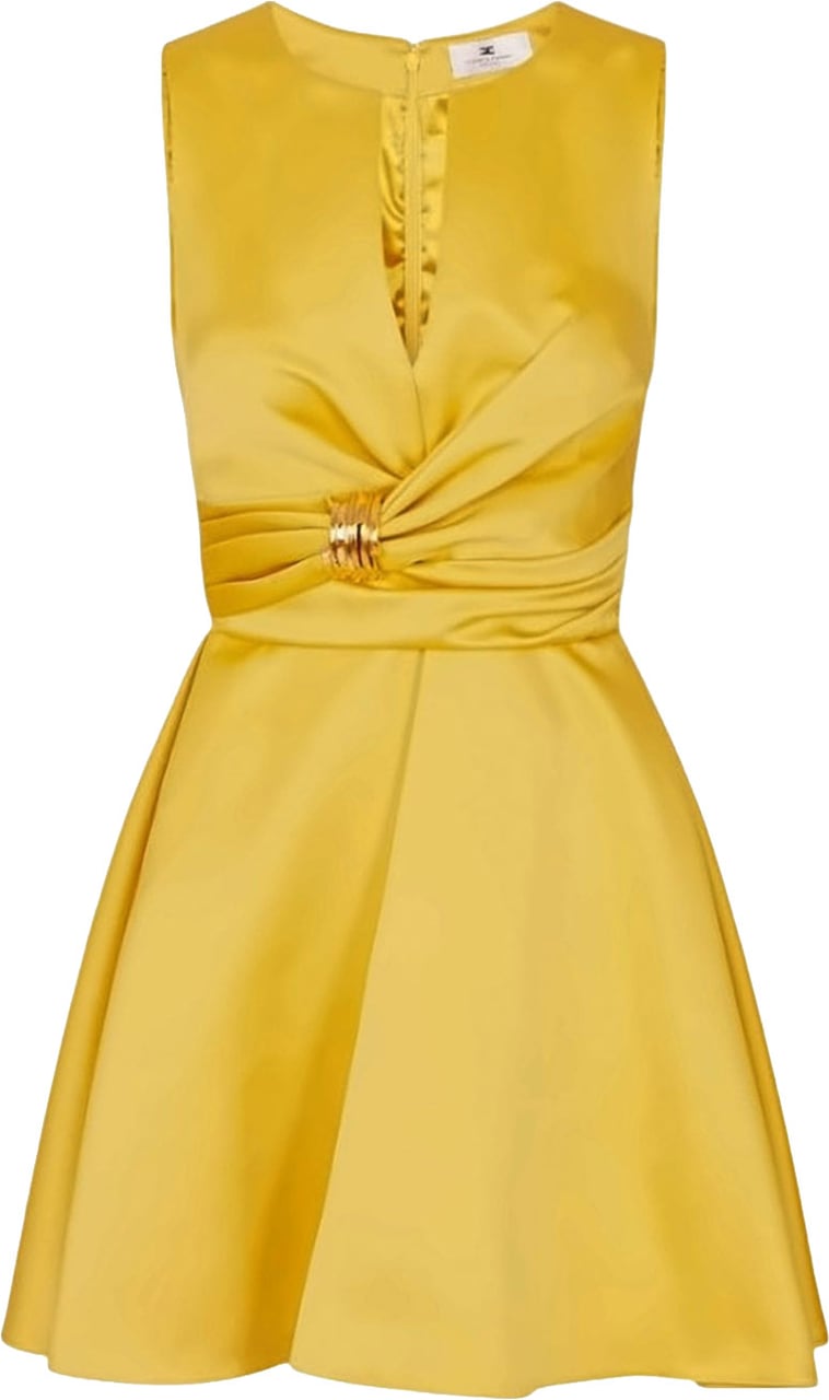 Elisabetta Franchi Duchess Jewel Detail Dress Goud