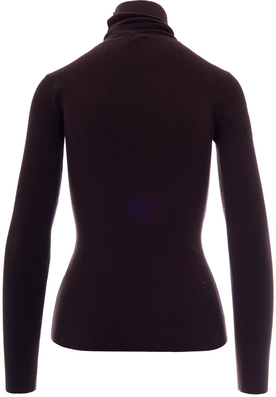 Elisabetta Franchi Sweaters Dark Chocolate Bruin