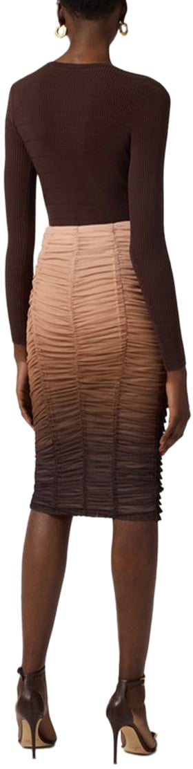 Elisabetta Franchi Sweaters Brown Bruin