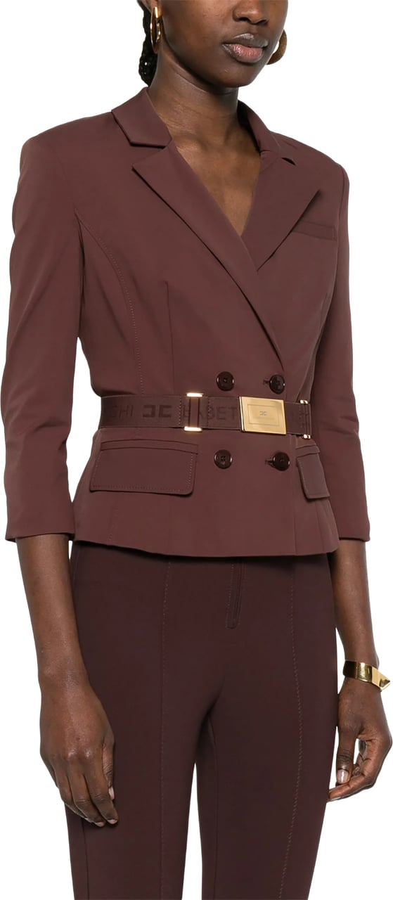 Elisabetta Franchi Double-Breasted Tailored Brown Belted Jacket Grijs