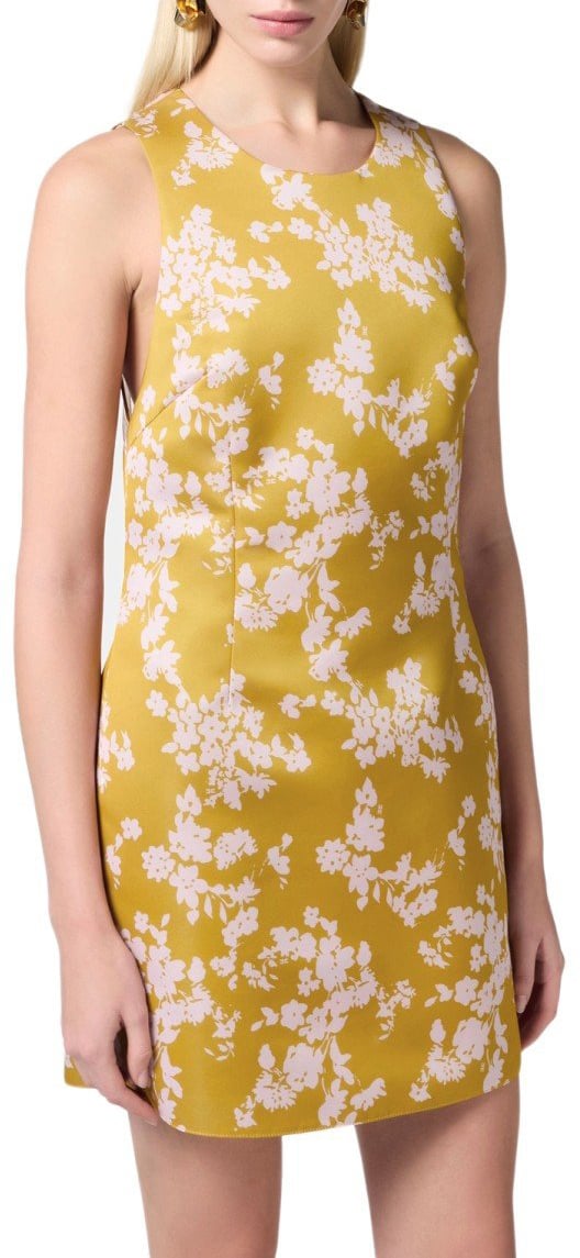 Elisabetta Franchi ELISABETTA FRANCHI CURRY QUARZO SLEEVELESS DRESS Geel