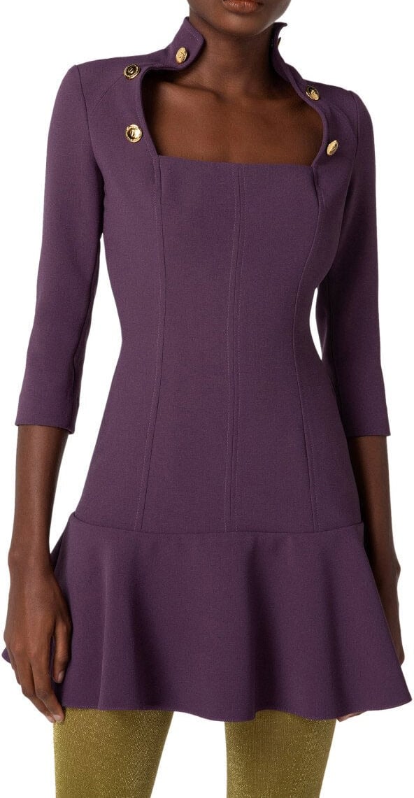 Elisabetta Franchi ELISABETTA FRANCHI DRESS WITH BUTTONS Paars