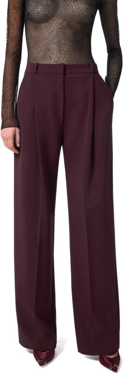 Elisabetta Franchi ELISABETTA FRANCHI MERLOT PANTS Rood