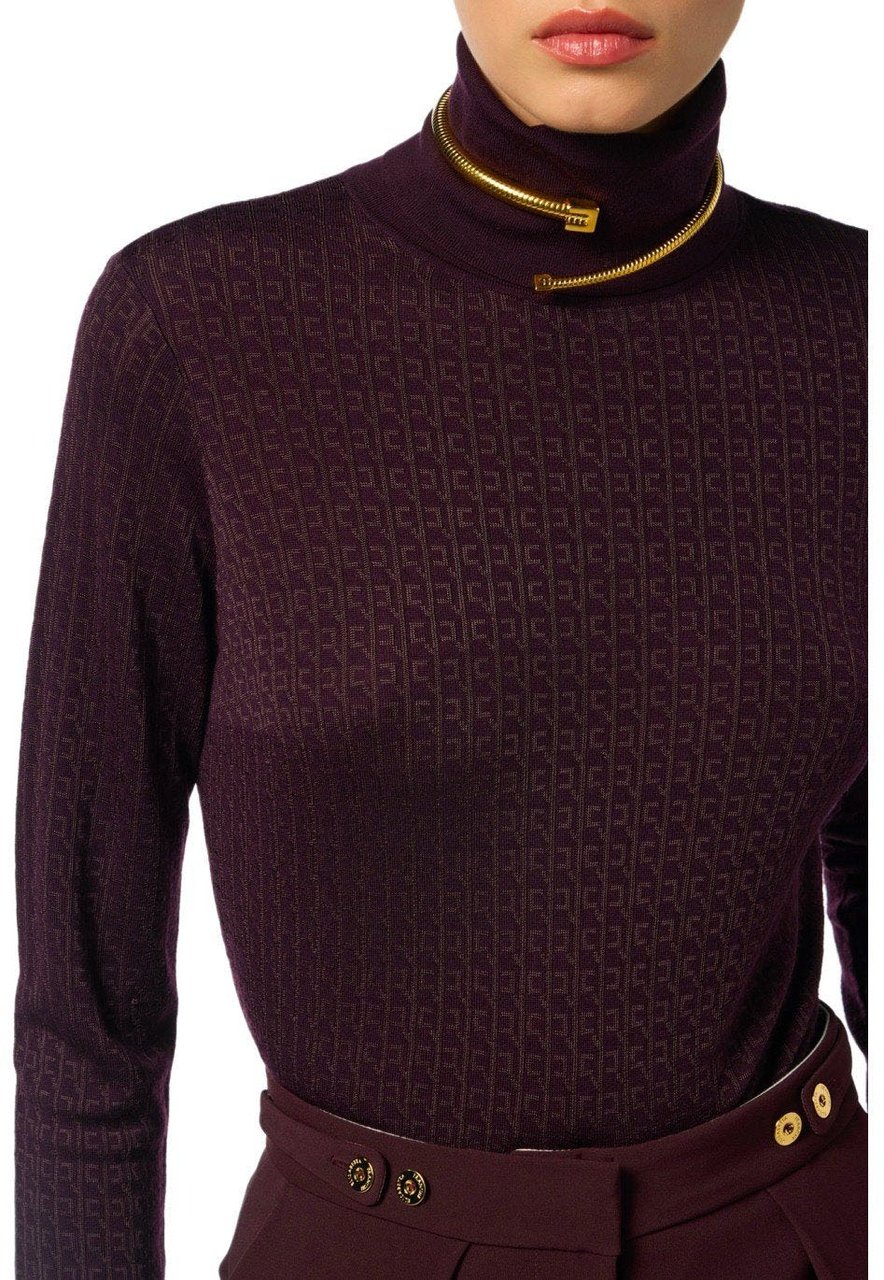 Elisabetta Franchi ELISABETTA FRANCHI MERLOT TURTLENECK SWEATER Rood
