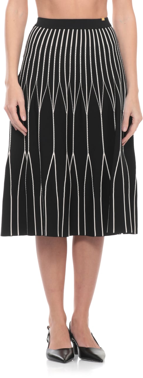 Elisabetta Franchi Skirts Black Zwart