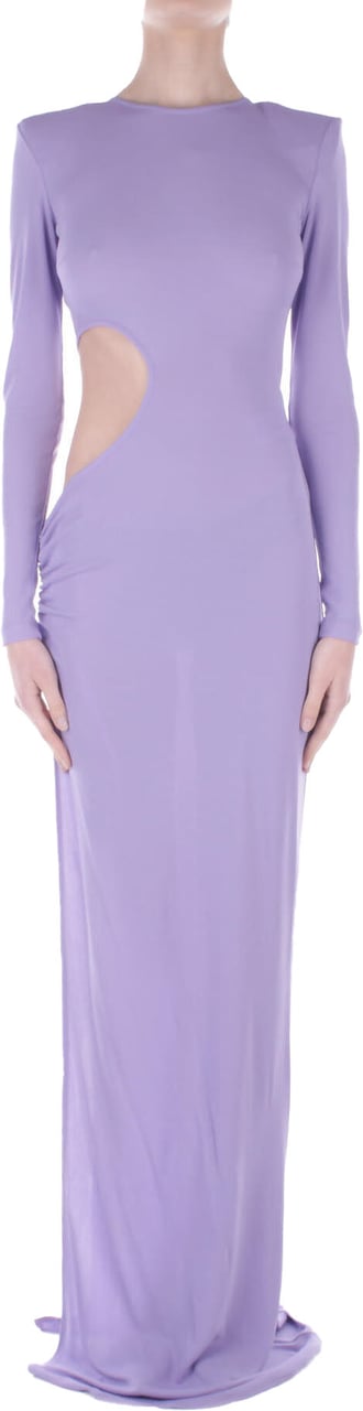Elisabetta Franchi Dresses Iris Paars
