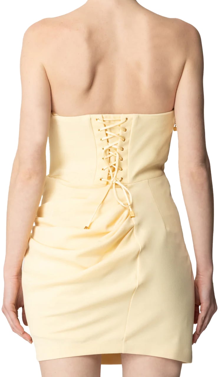 Elisabetta Franchi Dresses Lemonade Divers