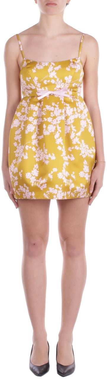 Elisabetta Franchi Dresses Curry Geel