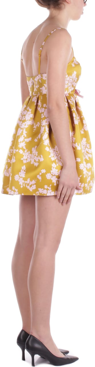 Elisabetta Franchi Dresses Curry Geel