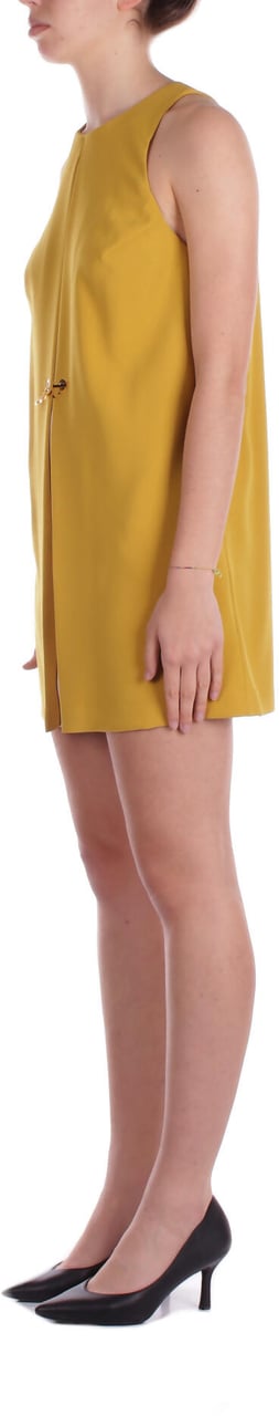 Elisabetta Franchi Dresses Curry Geel