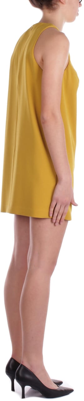 Elisabetta Franchi Dresses Curry Geel
