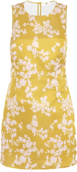 Elisabetta Franchi Dresses Gialloquarzo Divers