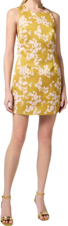 Elisabetta Franchi Dresses Gialloquarzo Divers