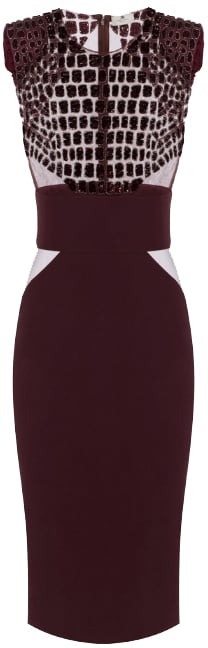 Elisabetta Franchi Dresses Merlot Rood