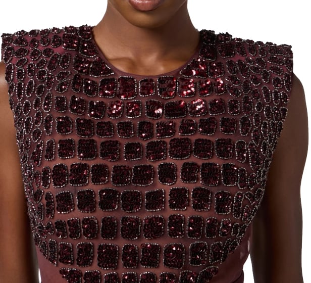 Elisabetta Franchi Dresses Merlot Rood