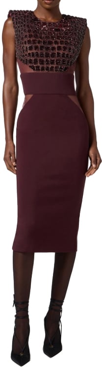 Elisabetta Franchi Dresses Merlot Rood