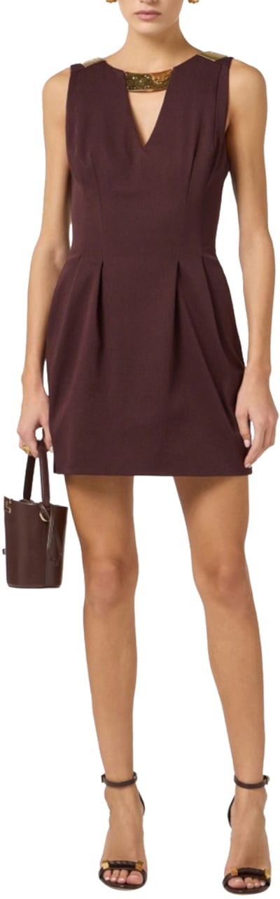 Elisabetta Franchi Dresses Brown Bruin
