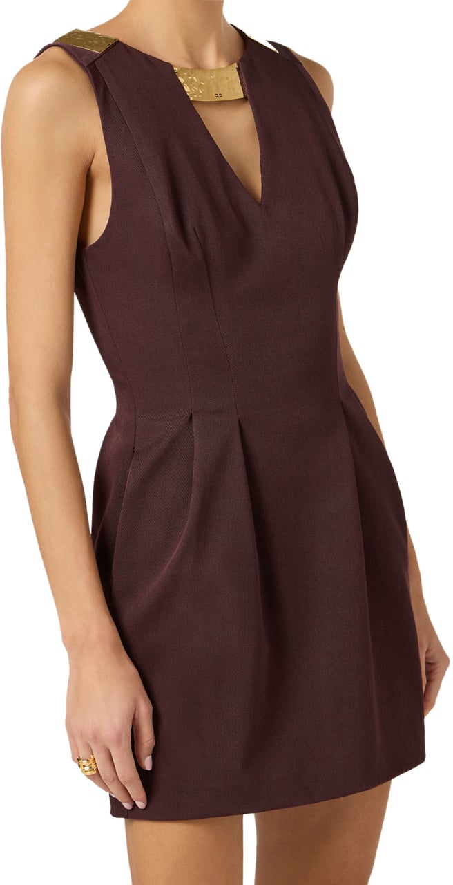 Elisabetta Franchi Dresses Brown Bruin