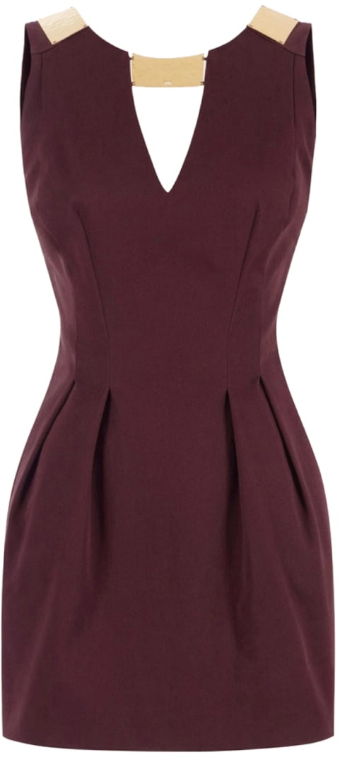 Elisabetta Franchi Dresses Brown Bruin