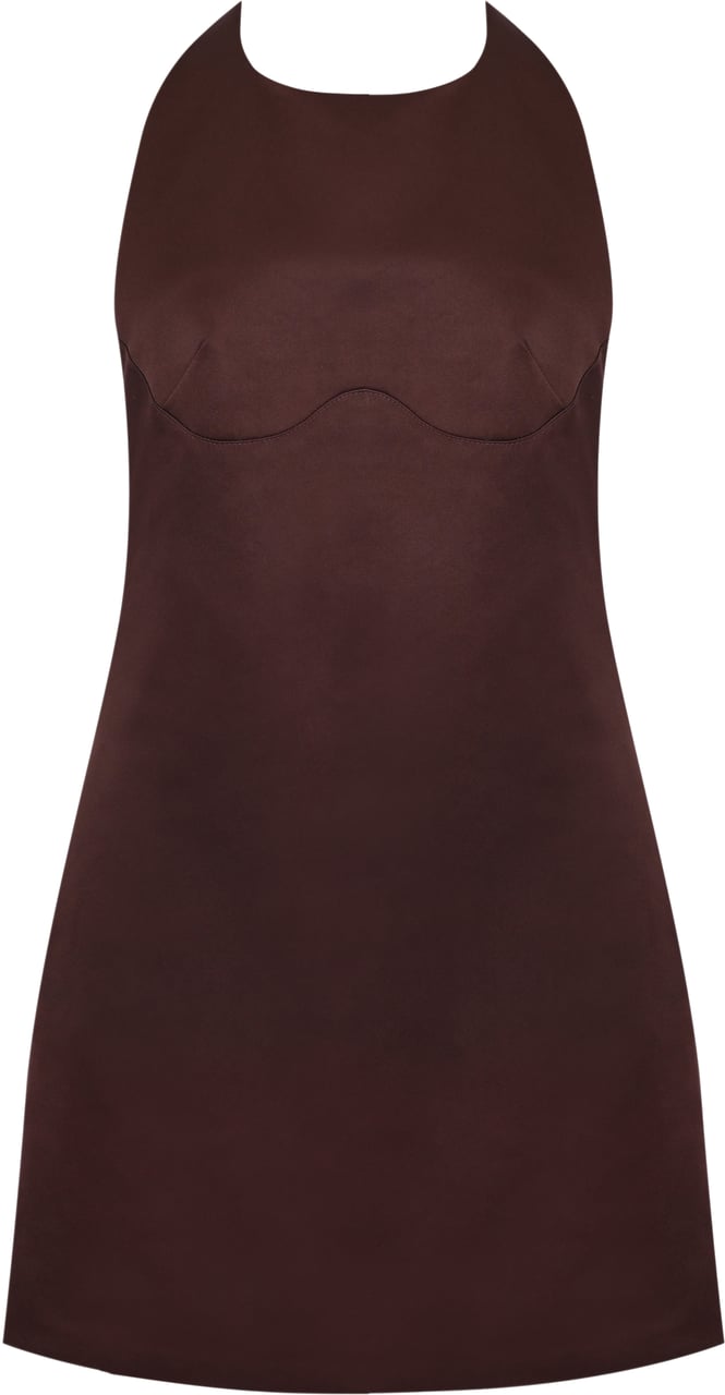 Elisabetta Franchi Dresses Brown Bruin