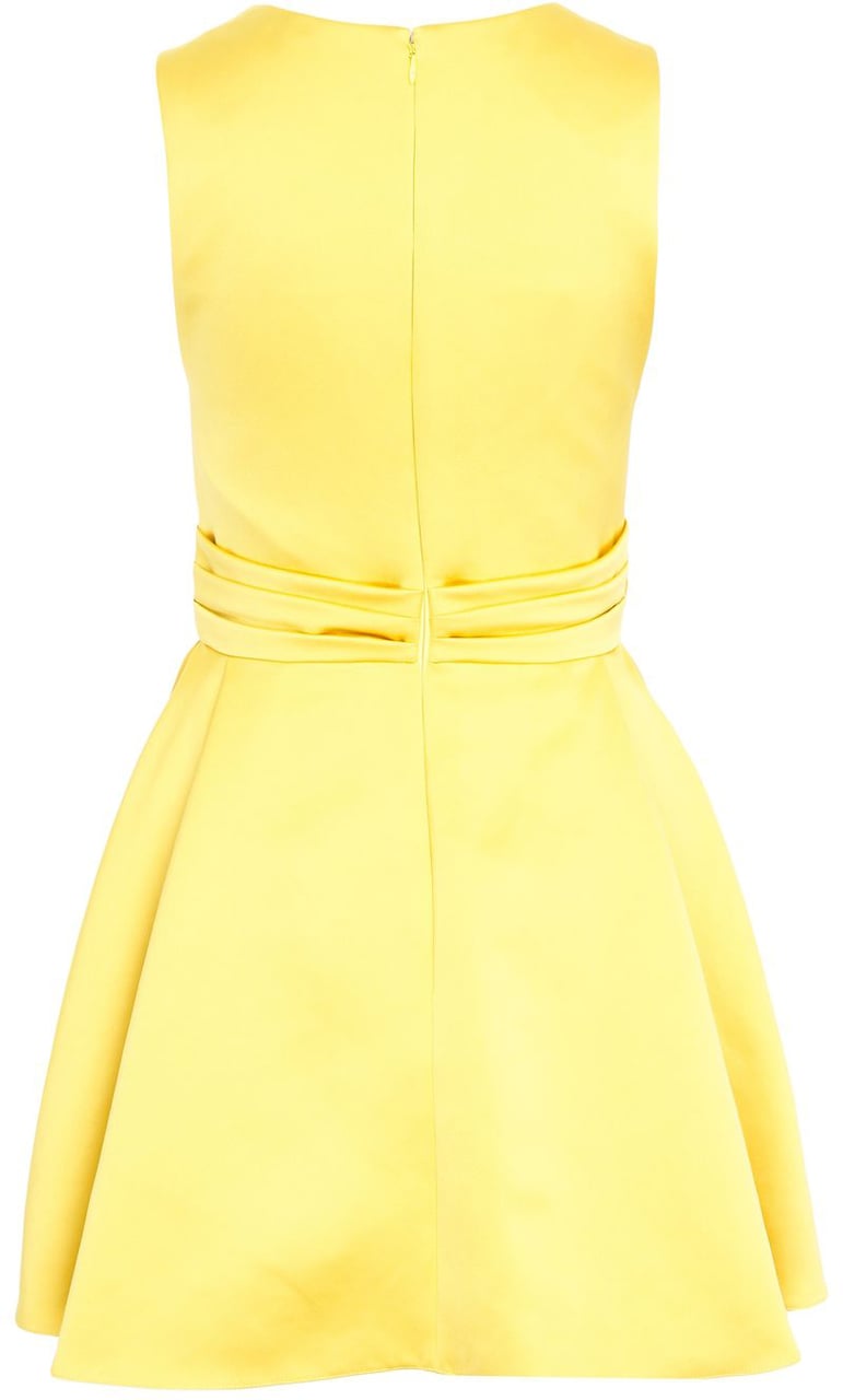 Elisabetta Franchi Mini dress Geel