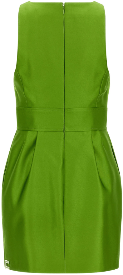 Elisabetta Franchi Dresses Aloe Groen