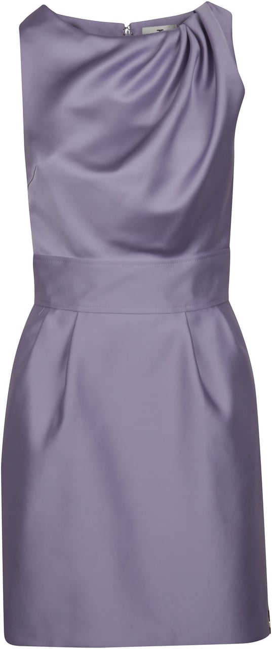 Elisabetta Franchi Sleeveless Dress Pink Roze