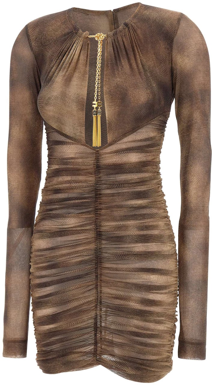 Elisabetta Franchi Dresses Brown Bruin