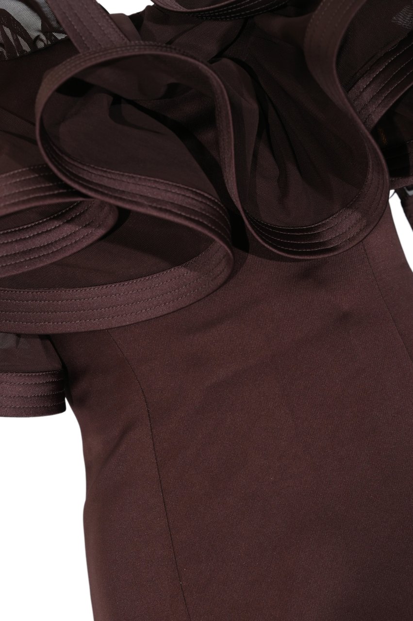 Elisabetta Franchi Dresses Brown Bruin