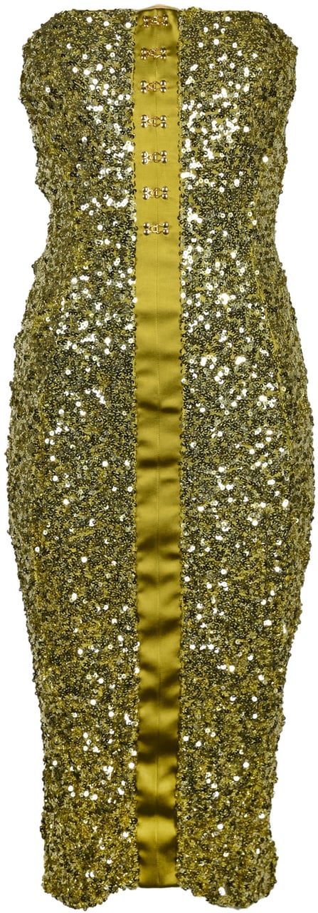 Elisabetta Franchi Dresses Iguana Groen