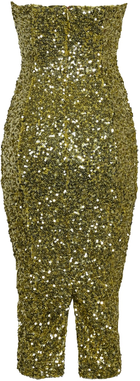 Elisabetta Franchi Dresses Iguana Groen