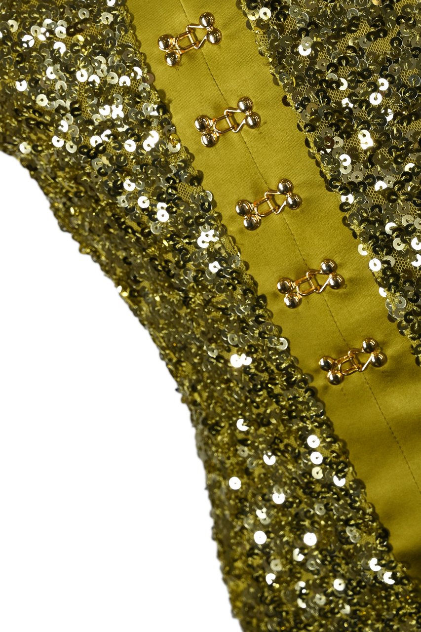 Elisabetta Franchi Dresses Iguana Groen