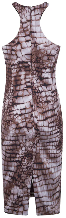 Elisabetta Franchi Dresses Brown Bruin