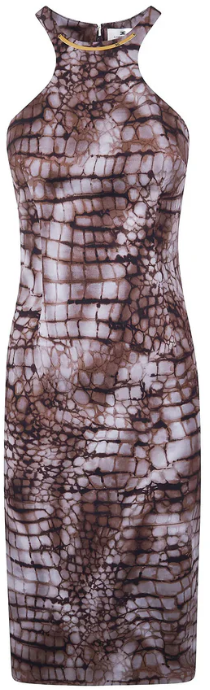 Elisabetta Franchi Dresses Brown Bruin
