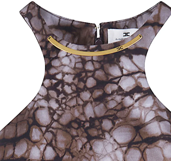 Elisabetta Franchi Dresses Brown Bruin