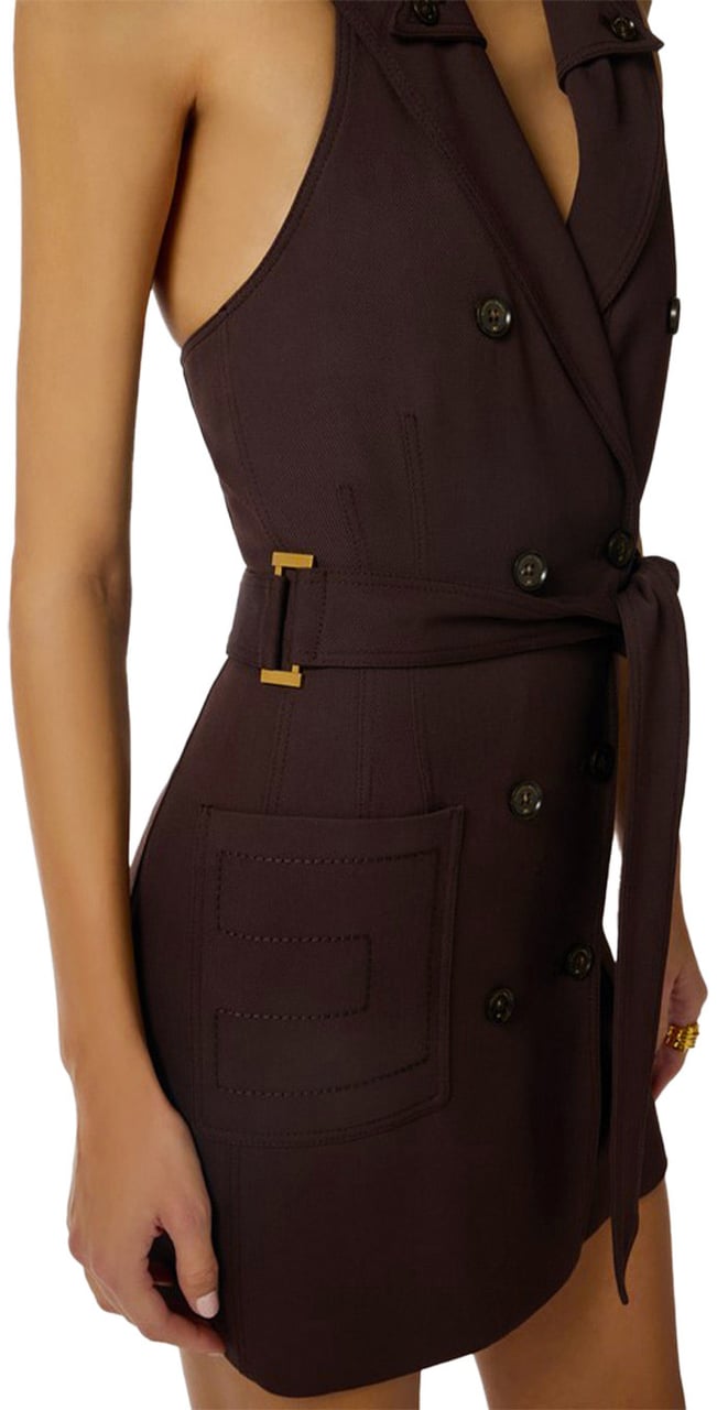 Elisabetta Franchi Dresses Brown Bruin