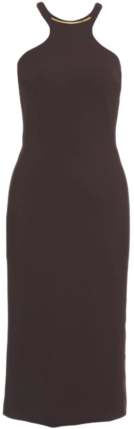 Elisabetta Franchi Dresses Brown Bruin